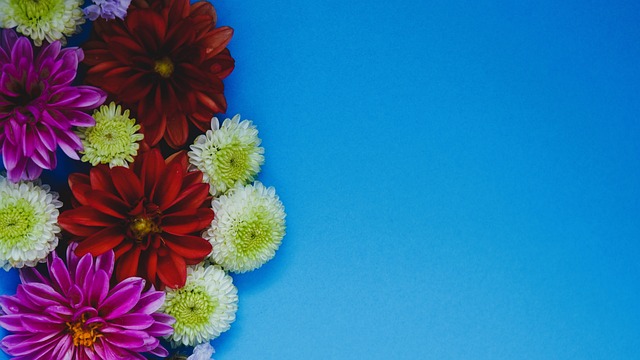 的著名运动 的著名运动