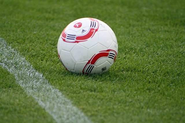 推向了新的 推向了新的