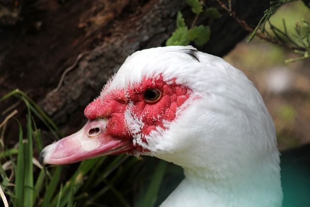 这样的场景 这样的场景